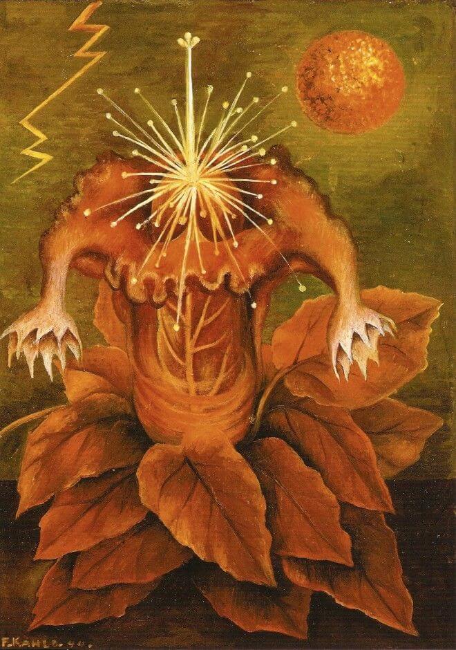Flower of Life (Flame Flower), 1943 - by Frida Kahlo